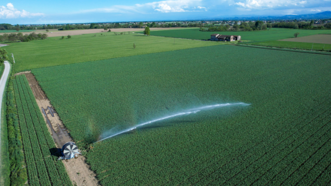 What Is Climate-Smart Agriculture and Why the African Development Bank Is Scaling It in Africa